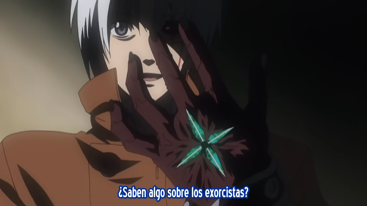 D.Gray_Man (Nanikano Fansub, DGrayManSP yTozku no Fansub)